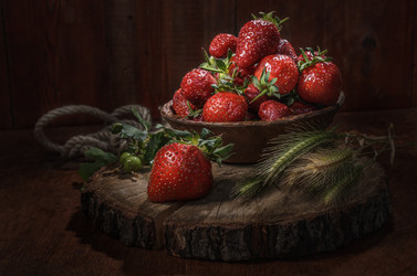 Similar image 21195515