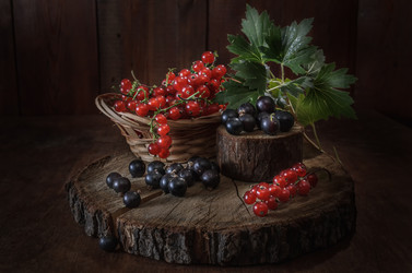 Similar image 21195517