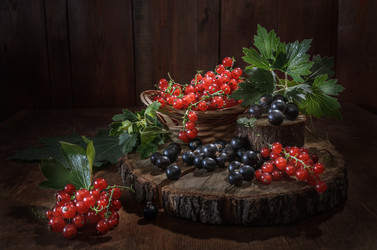 Similar image 21195519