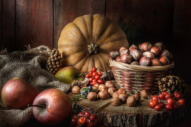 Similar image 21195520