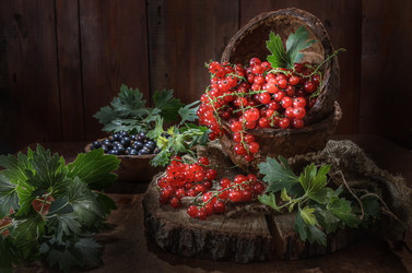 Similar image 21195521