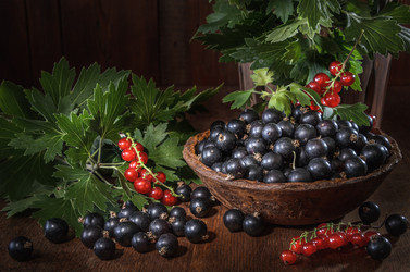 Similar image 21195523