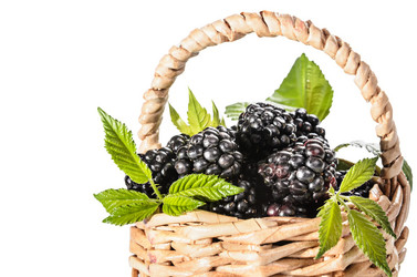 Similar image 21195524