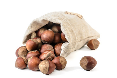 Similar image 21195527