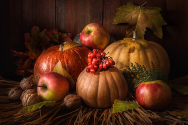 Similar image 21195531