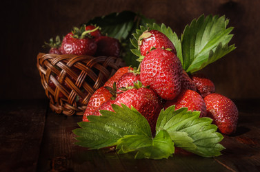 Similar image 21195544