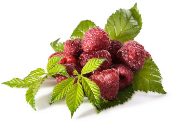 Similar image 21195549