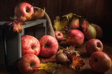 Similar image 21195551