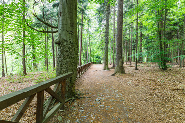 Similar image 21189897