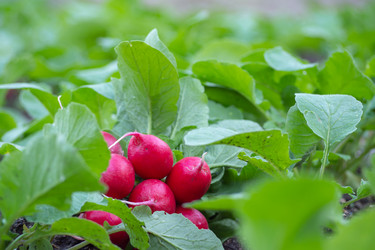 Similar image 21181405