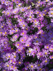 Similar image 21181424