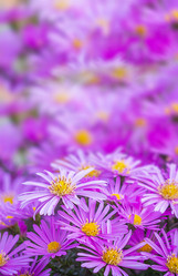 Similar image 21181426