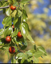 Similar image 21181428