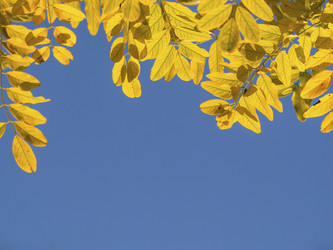 Similar image 21181429