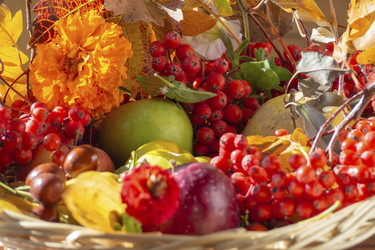 Similar image 21181432