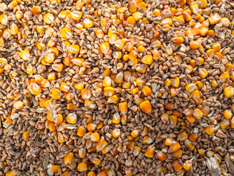 Similar image 21181436