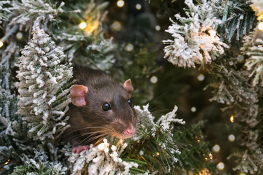 Similar image 21183350