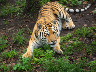 Similar image 21178931