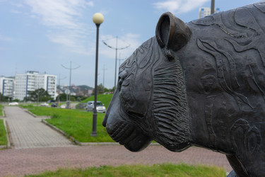 Similar image 21178160