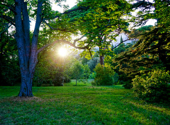 Similar image 21178185