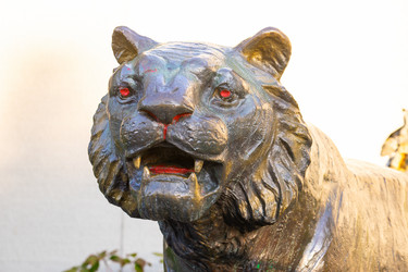 Similar image 21178188