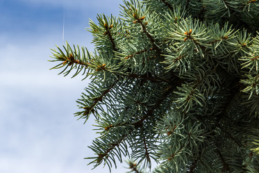 Similar image 21178192