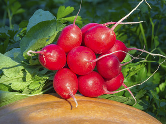 Similar image 21181445