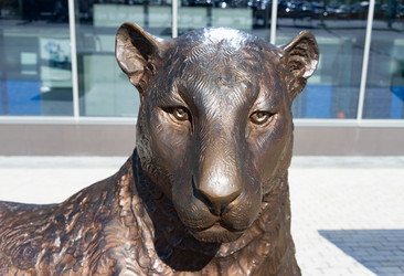 Similar image 21178219