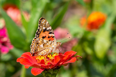 Similar image 21181407