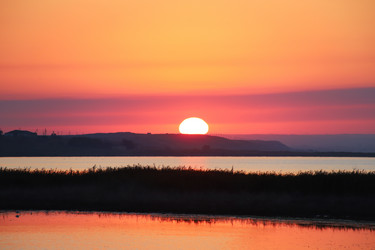 Similar image 21178935