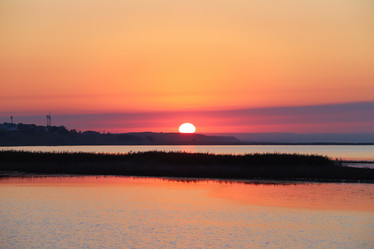 Similar image 21178937