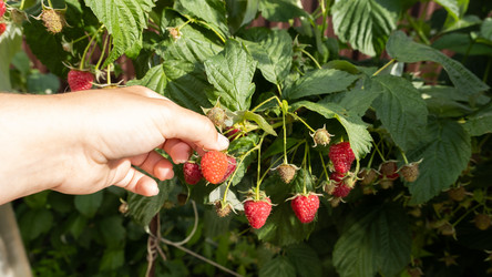 Similar image 21179201