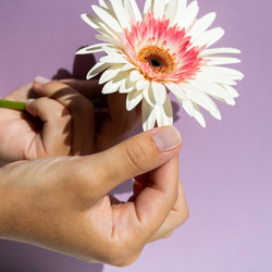 Similar image 21179205