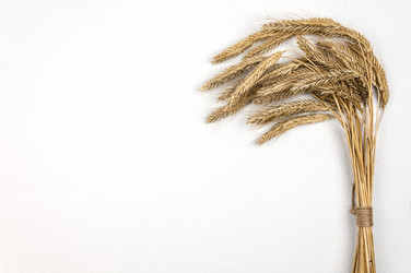 Similar image 21180255