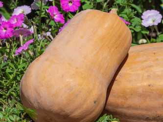 Similar image 21181446