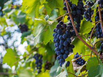 Similar image 21181447