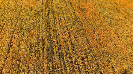 Similar image 21178250