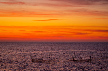 Similar image 21178258