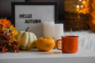 Similar image 21179399