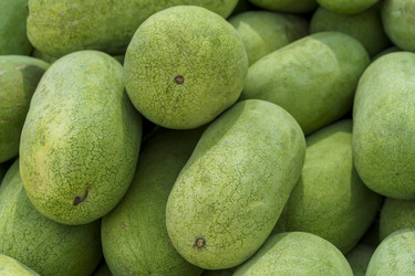 Similar image 21179636