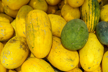 Similar image 21179637