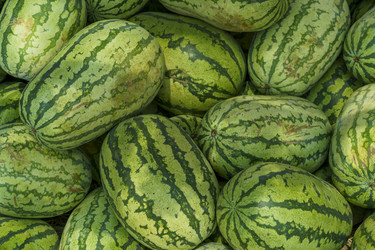 Similar image 21181921