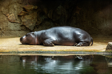 Similar image 21181327