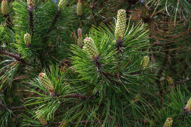 Similar image 21181344