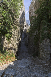 Similar image 21180261