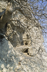 Similar image 21180262