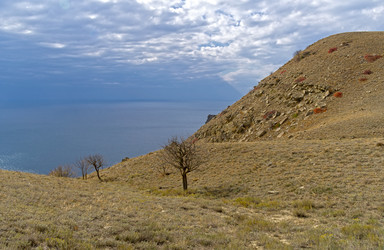 Similar image 21180264