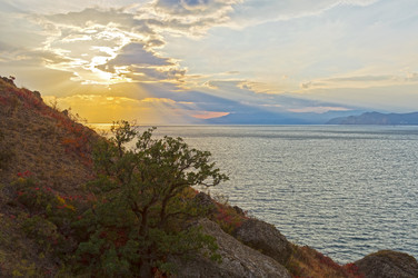 Similar image 21180268