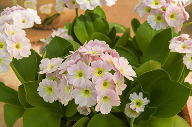 Similar image 21180273