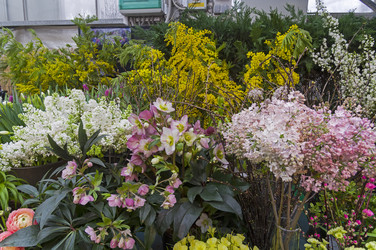 Similar image 21179816